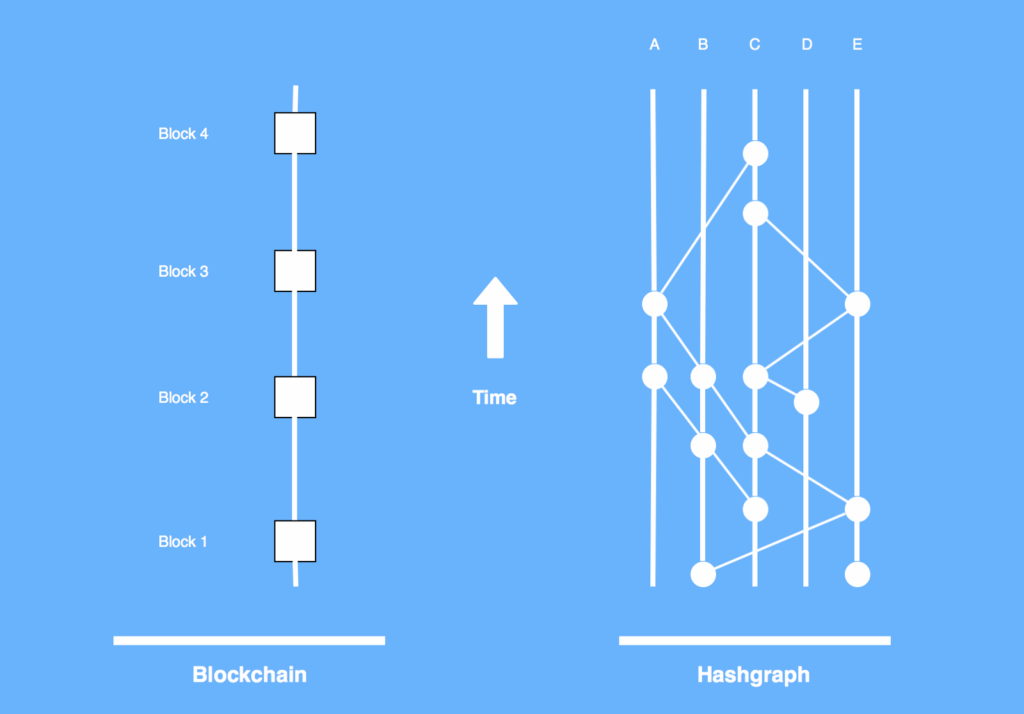 Blockchains vs. Hashgraphs