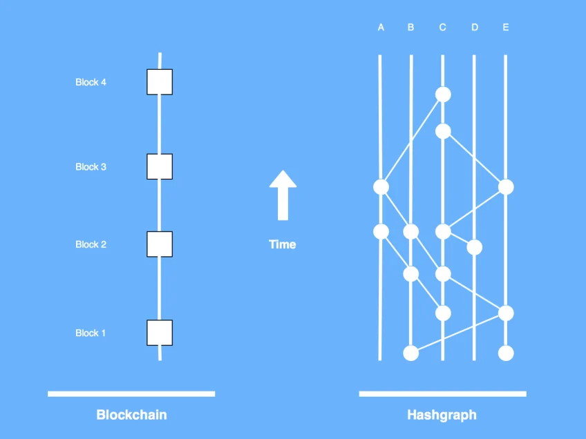 Blockchains vs. Hashgraphs