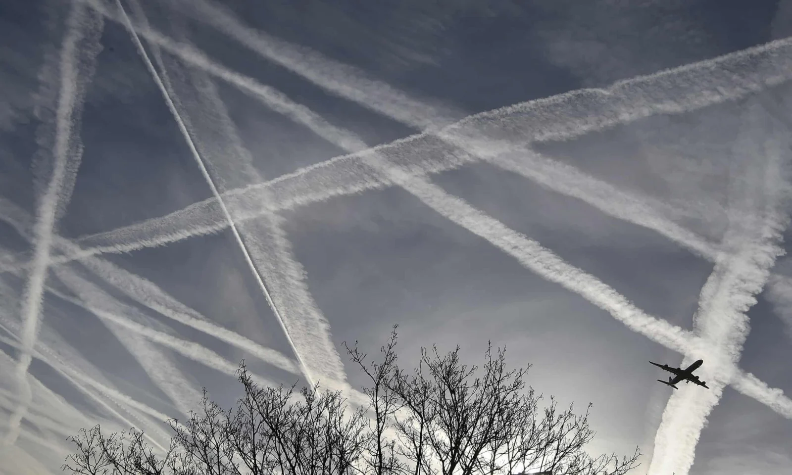 Offsetting carbon emissions: ‘It has proved a minefield’
