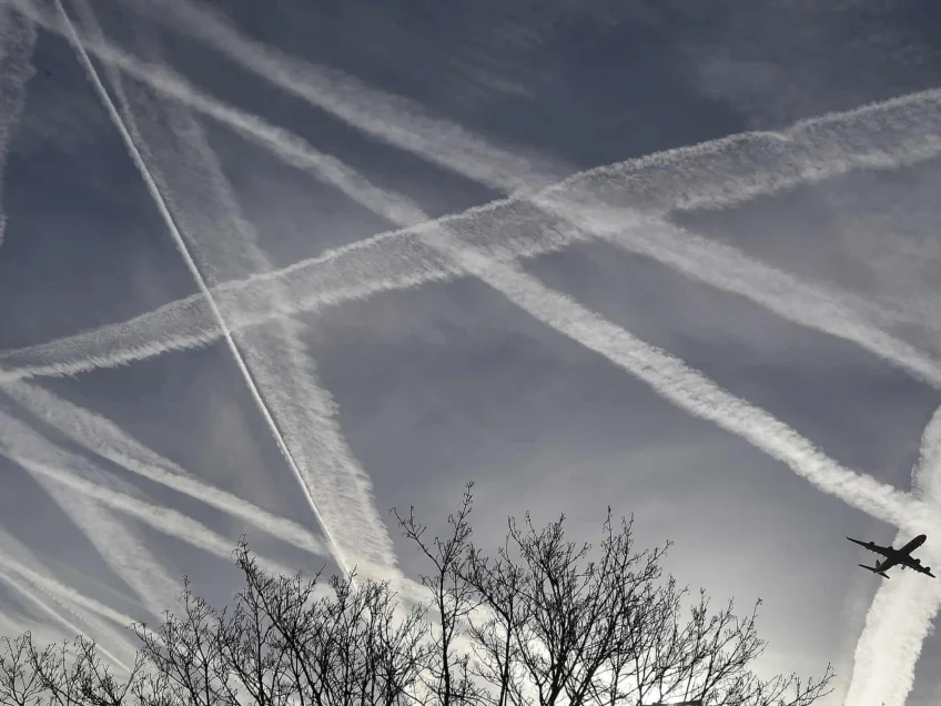 Offsetting carbon emissions: ‘It has proved a minefield’