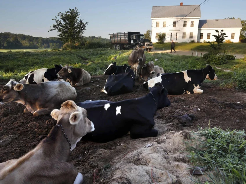 Biosolids: mix human waste with toxic chemicals, then spread on crops