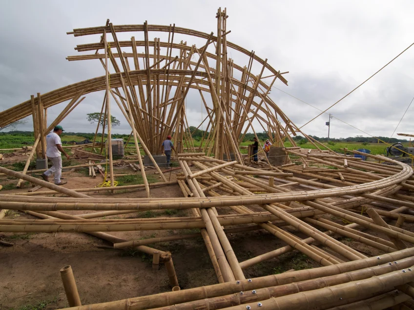 The Go-To Guide for Bamboo Construction