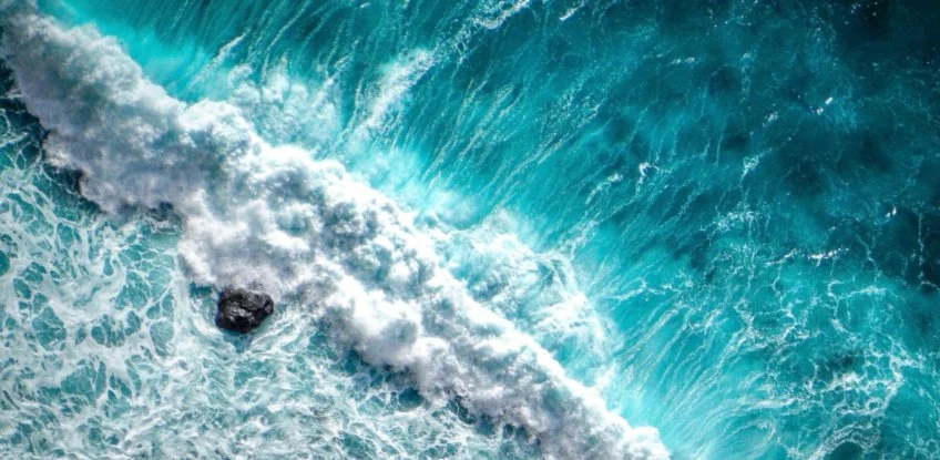 UN Report on Earth’s Oceans Confirms The Catastrophe Is Already Unfolding Around Us