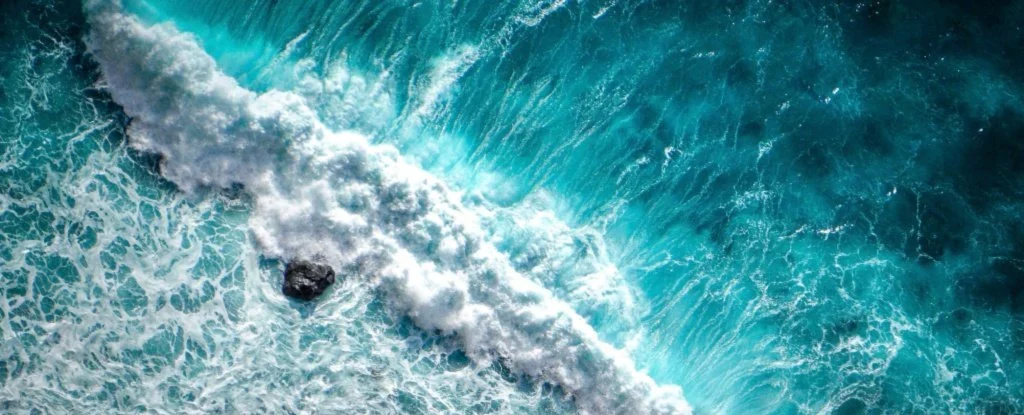 UN Report on Earth’s Oceans Confirms The Catastrophe Is Already Unfolding Around Us
