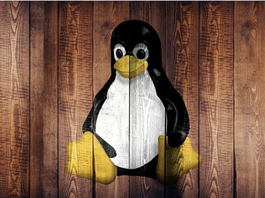 Best Linux distros of 2021 for beginners, mainstream and advanced users