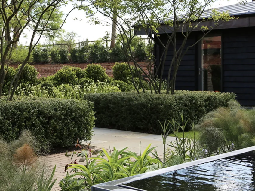 Award-winning garden designer Andy Sturgeon reveals the one thing you should never do when designing a garden