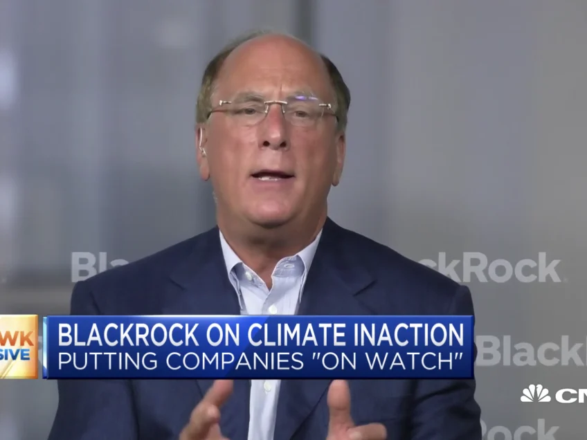 BlackRock CEO Larry Fink on climate change and ESG investing