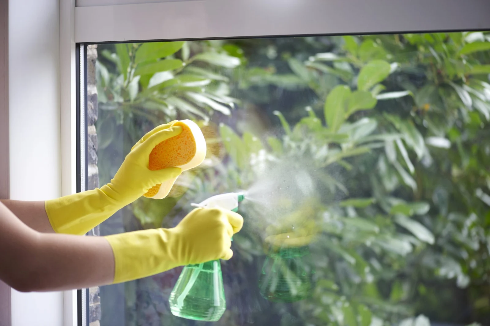 9 Ways to Detox Your Home