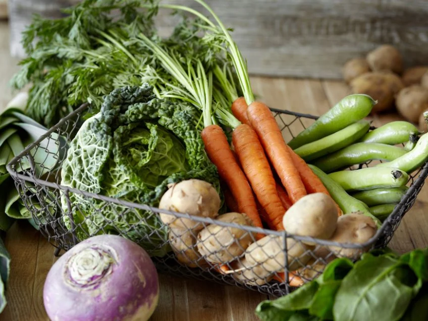 This 12-month vegetable planting calendar is a grow-your-own essential