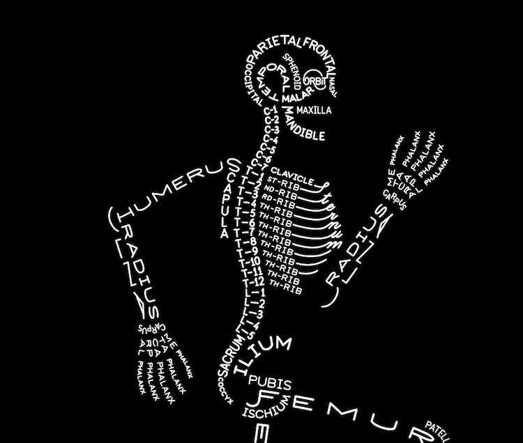 Helpful Typograms Elegantly Visualize Complex Systems￼