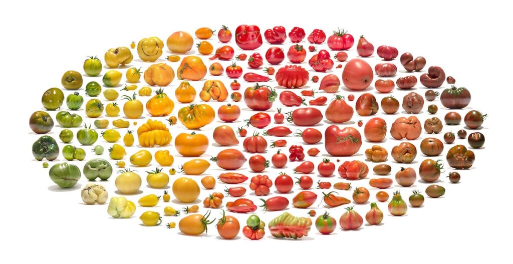 Photo Series Highlights Natural Biodiversity of Produce￼