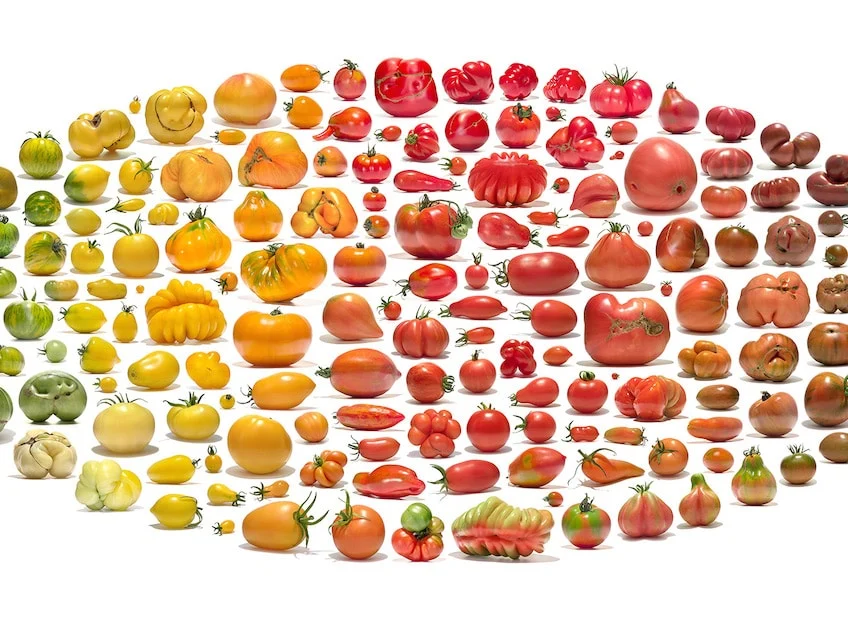 Photo Series Highlights Natural Biodiversity of Produce￼