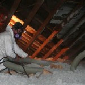 Cellulose insulation