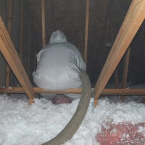 Attic insulation